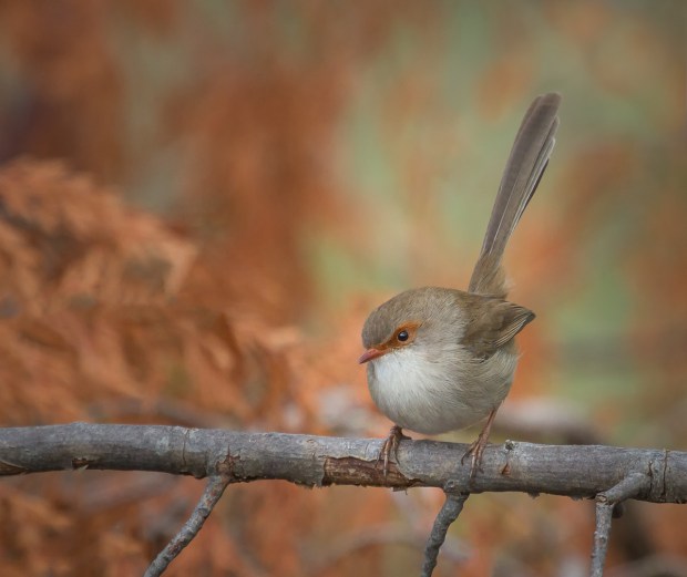 Gary Beresford Photo-68