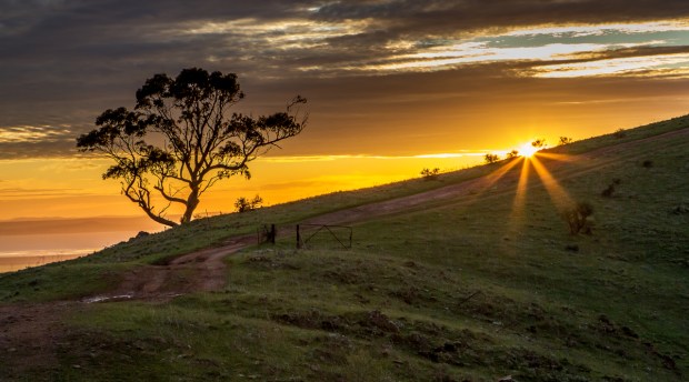 Gary Beresford Photo-71