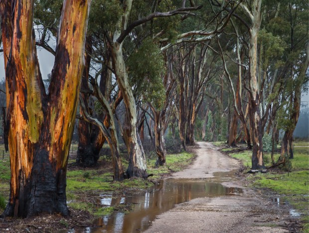 Gary Beresford Photo-75