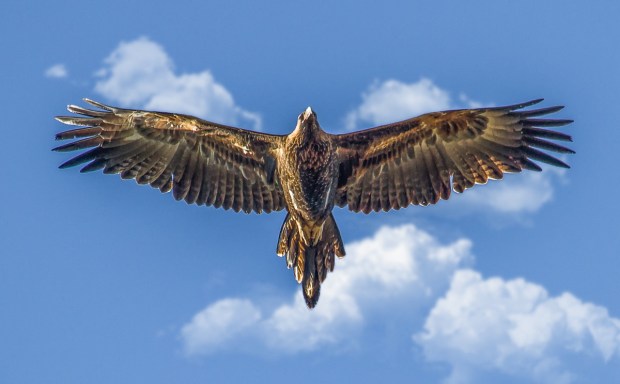 Gary Beresford Photo-76