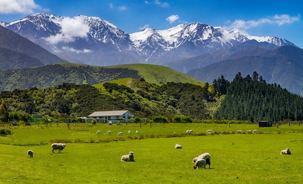 Gary Beresford Photo-85