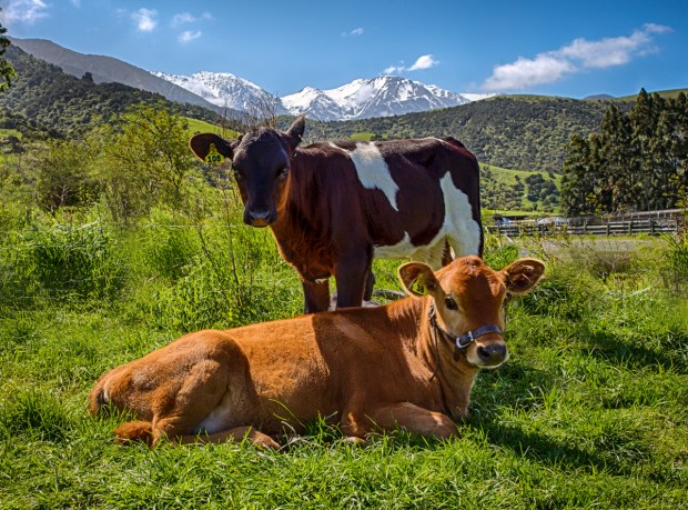 Gary Beresford Photo-86