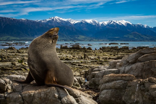 Gary Beresford Photo-87