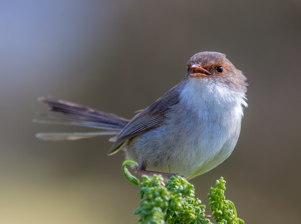 Gary Beresford Photo-88