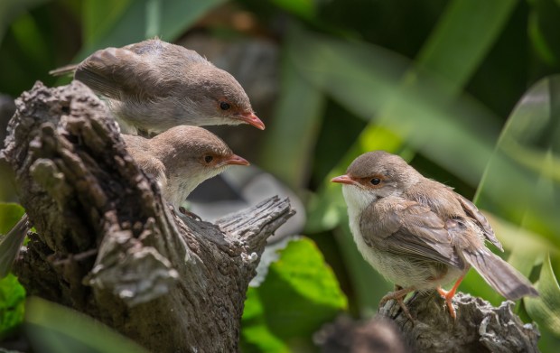 Gary Beresford Photo-90
