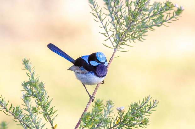 Gary Beresford Photo-91