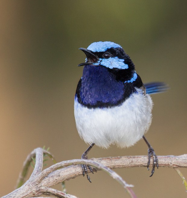 Gary Beresford Photo-92