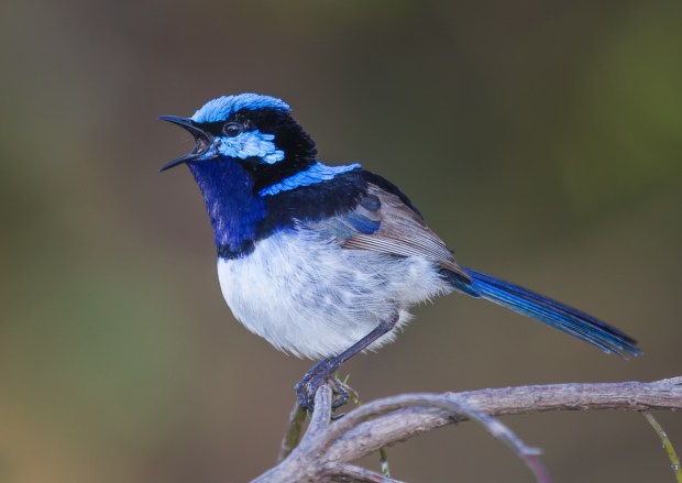 Gary Beresford Photo-93