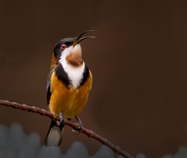 Gary Beresford Photo-94