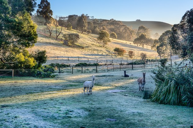 Gary Beresford Photo-95