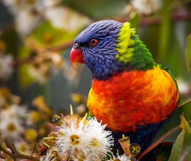 Gary Beresford Photo-96