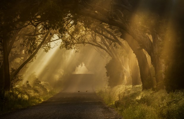 Gary Beresford Photo-97