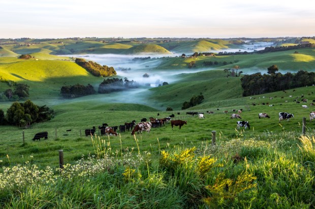 Gary Beresford Photo-98