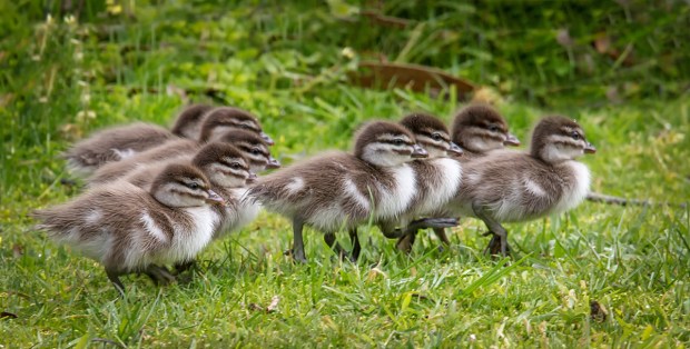 Gary Beresford Photo-99